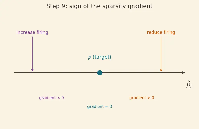 Figure — Sparse autoencoders for features