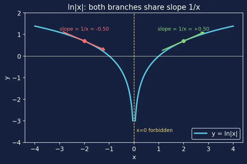 Figure — Derivatives of ln x and logₐ(x)