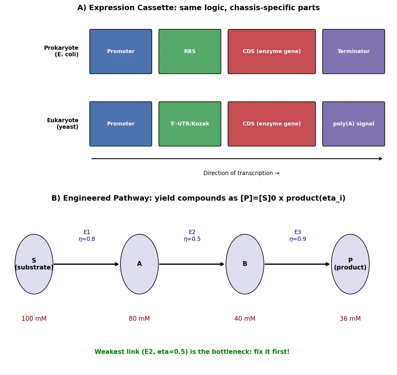 Figure — Describe synthetic biology and engineered pathways