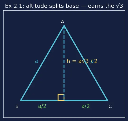 Figure — Triangles — scalene, isosceles, equilateral; acute, right, obtuse