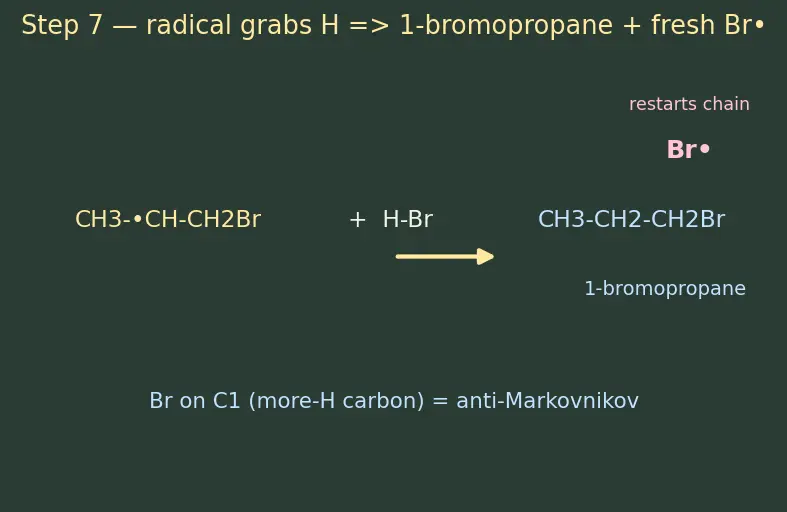 Figure — Markovnikov vs anti-Markovnikov (peroxide effect, Kharasch)