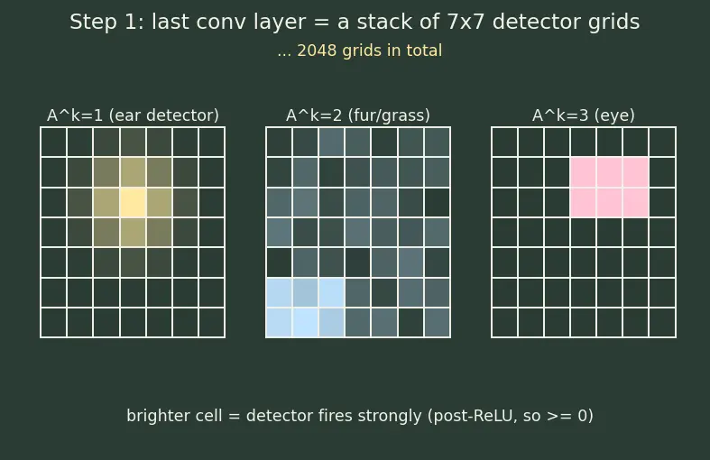 Figure — Saliency maps and Grad-CAM