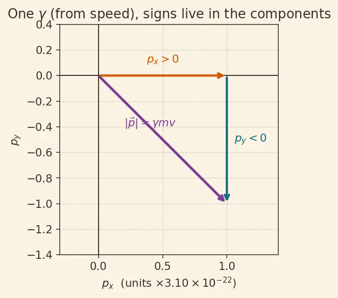 Figure — Relativistic momentum p = γmv