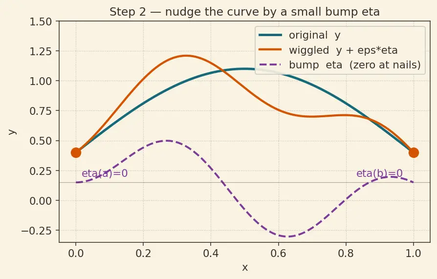 Figure — Calculus of variations — functionals, functional derivative