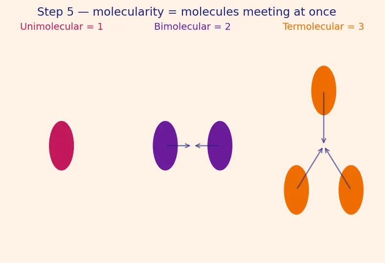 Figure — Rate law — order vs molecularity
