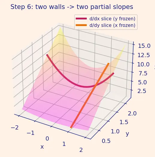 Figure — Partial derivatives