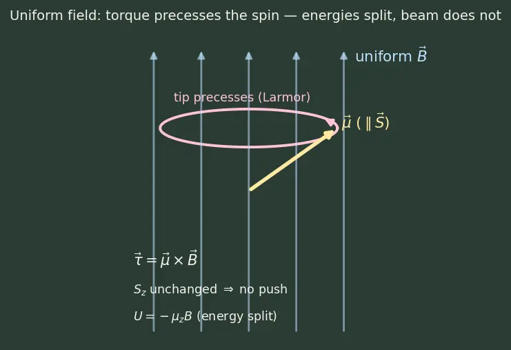 Figure — Spin — intrinsic angular momentum