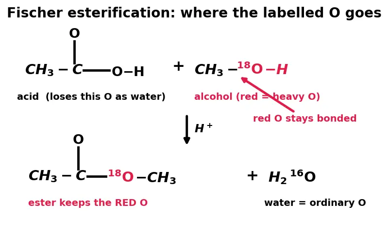 Figure — Carboxylic acids — acidity, derivatives (acid chlorides, anhydrides, esters, amides), Hell-Volhard-Zelinsky, esterificat